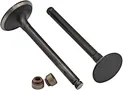golf cart engine intake and exhaust valves